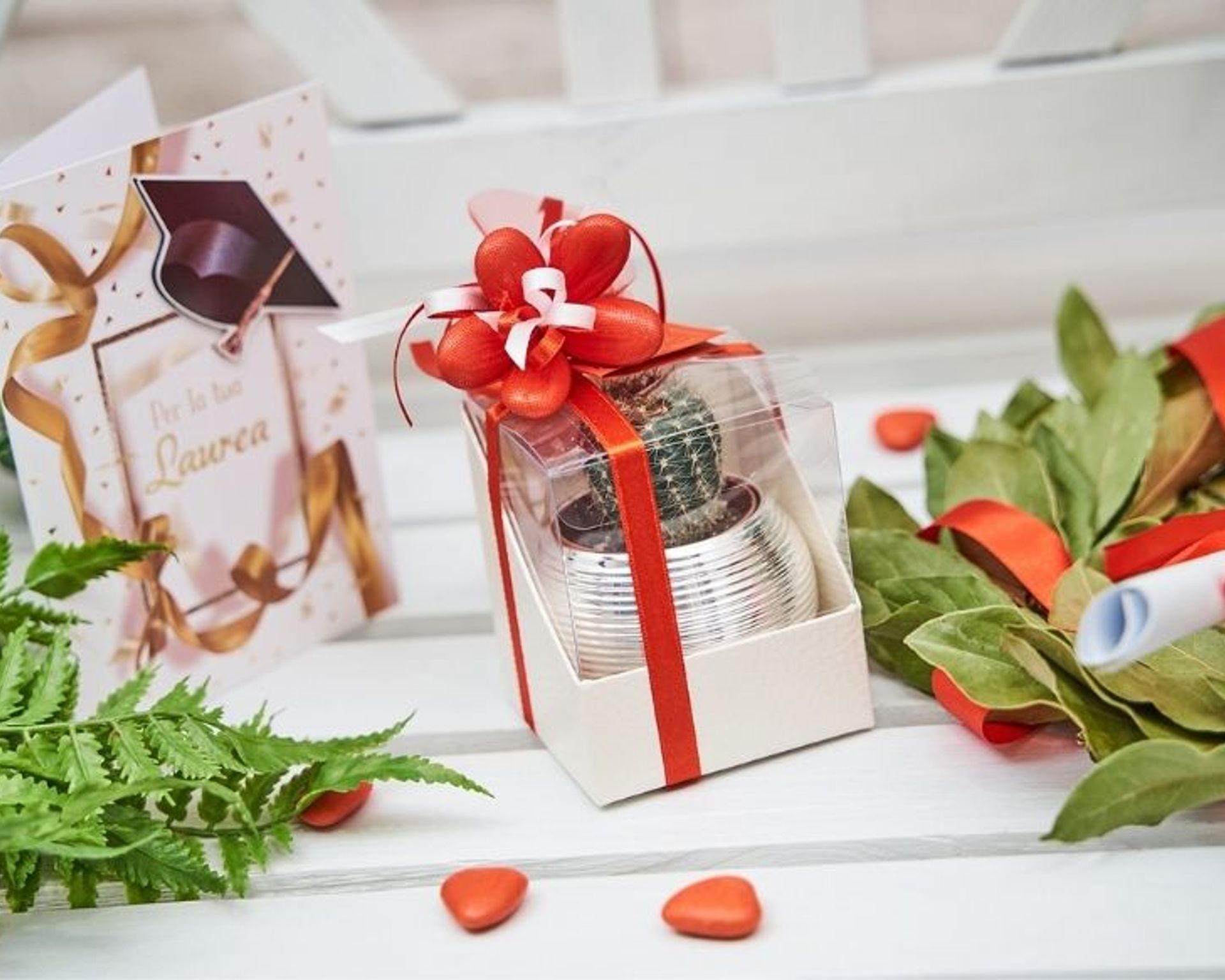 bomboniere-personalizzate-per-la-laurea-piantine