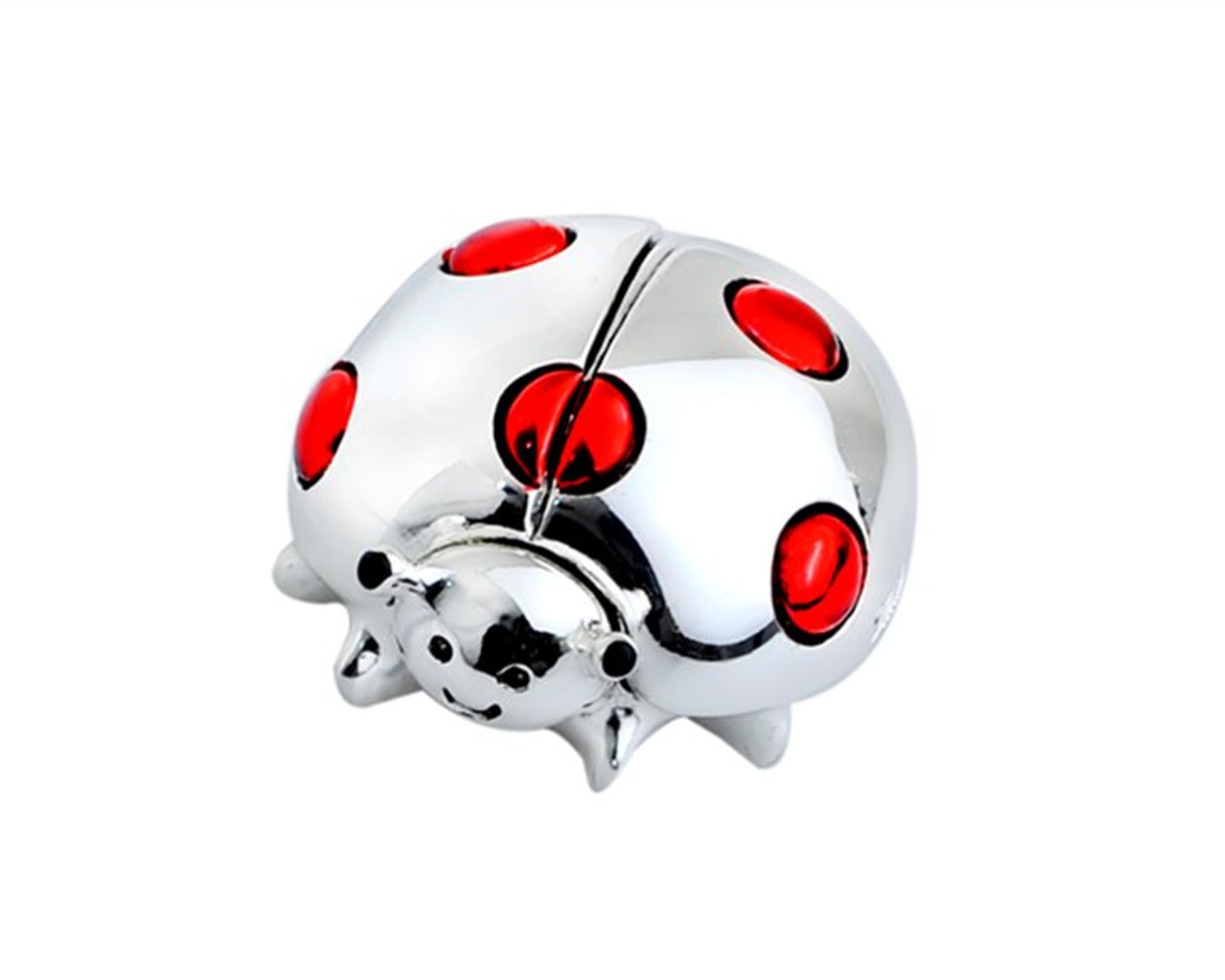 Coccinella portafortuna | Coccinella Simbologia