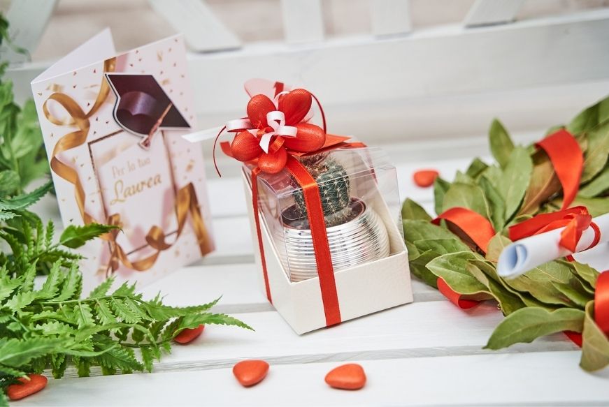 bomboniere-personalizzate-per-la-laurea-piantine