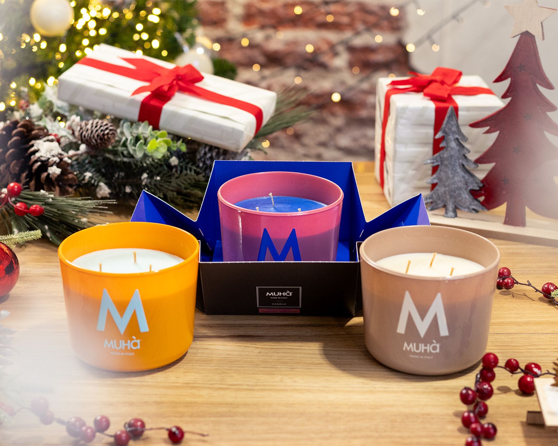 regali-di-natale-per-lei-vaso-cactus