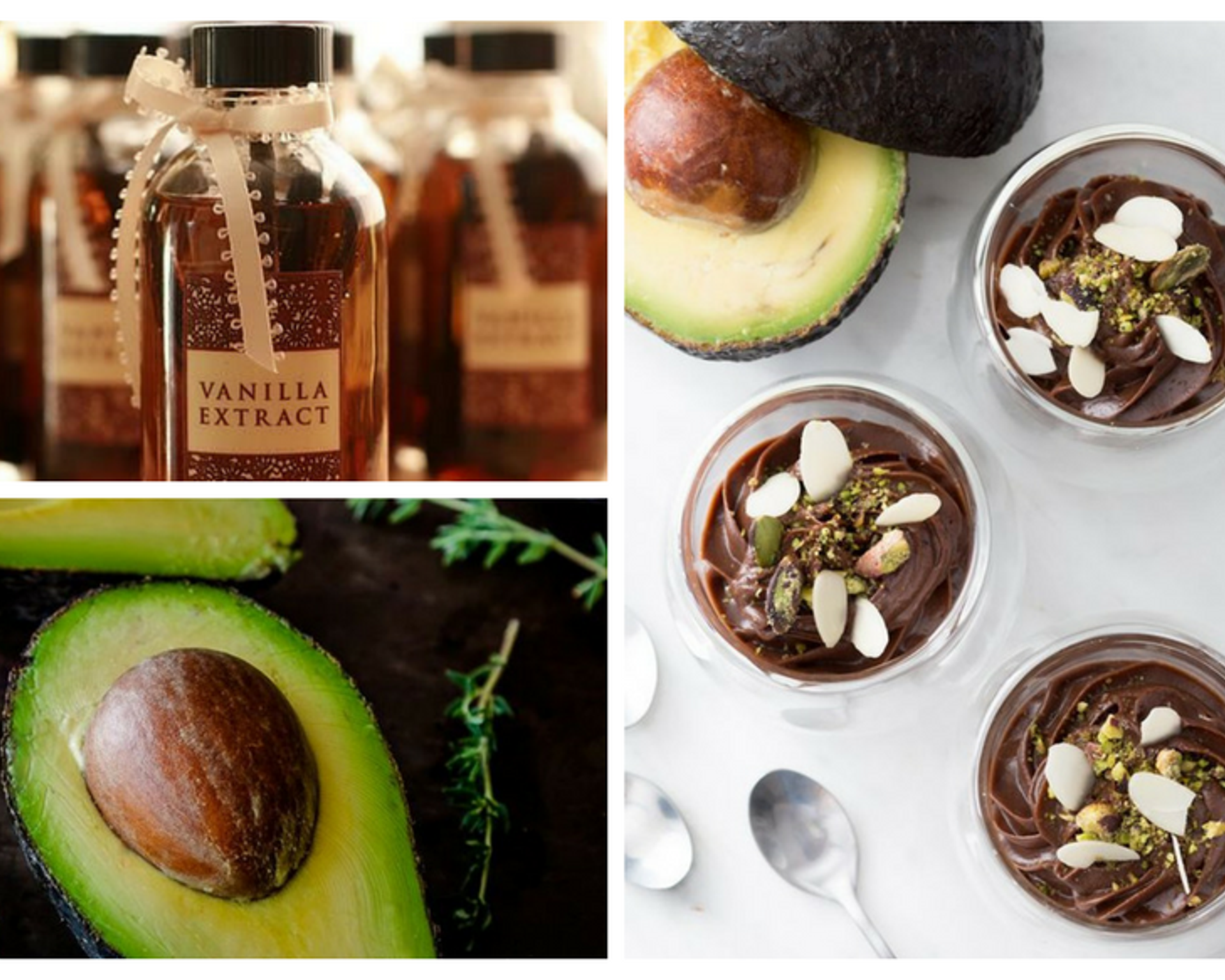 mousse-di-avocado-e-cioccolato-ricette-estrattore-di-succo