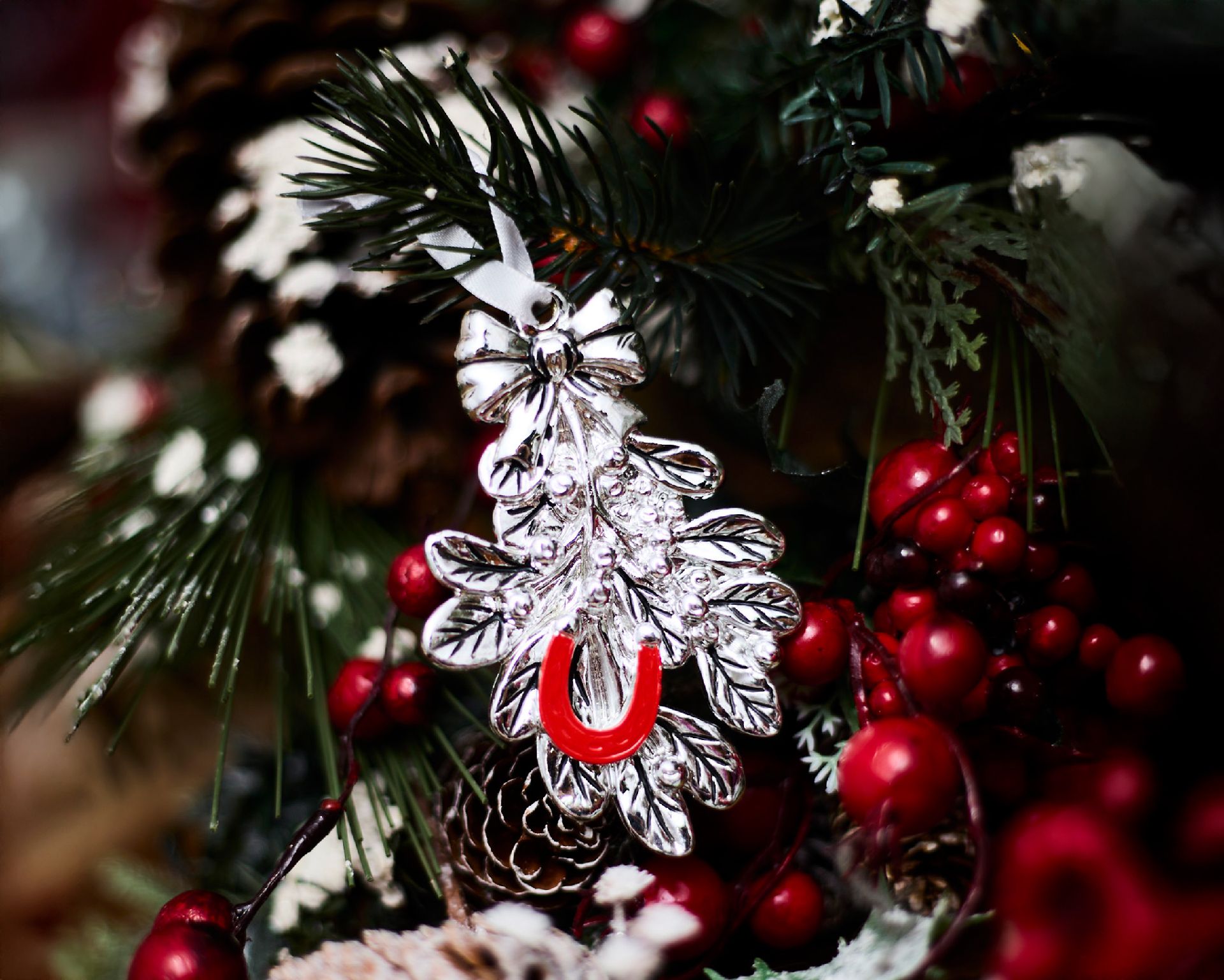 Idea Regalo Natale Vischio Argento E Ferro Di Cavallo Rosso Selezione Zanolli 189113 592n866208