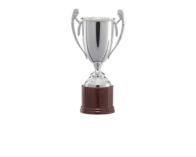 Coppa silver plated con manici