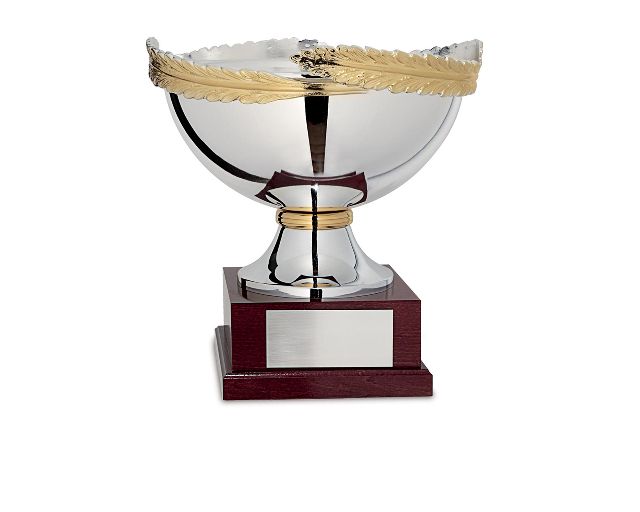 Cup with wooden base