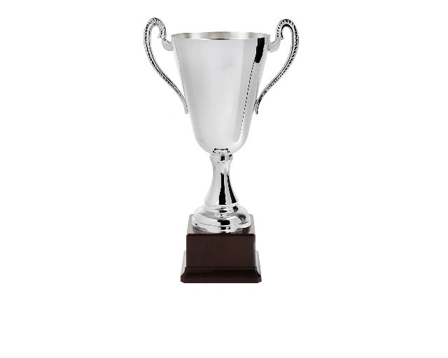 Cup with handles