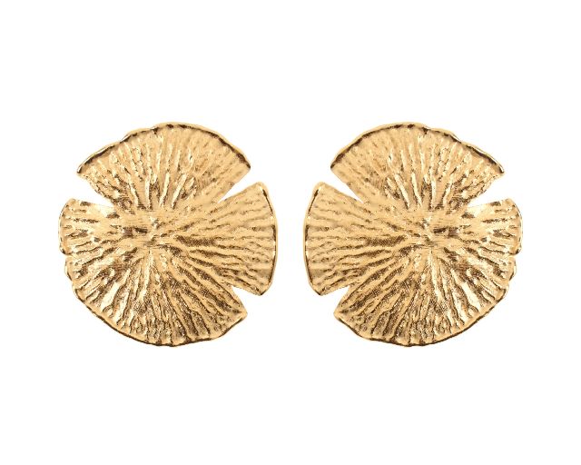 Earrings silver