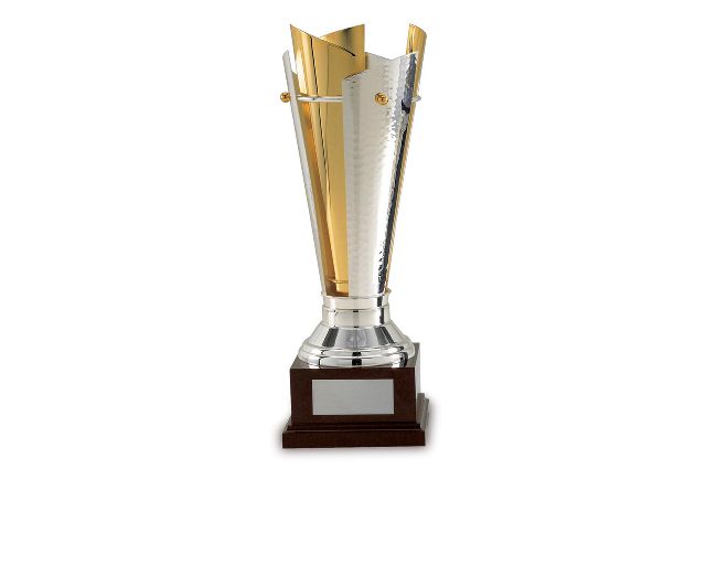 Cup with wooden base