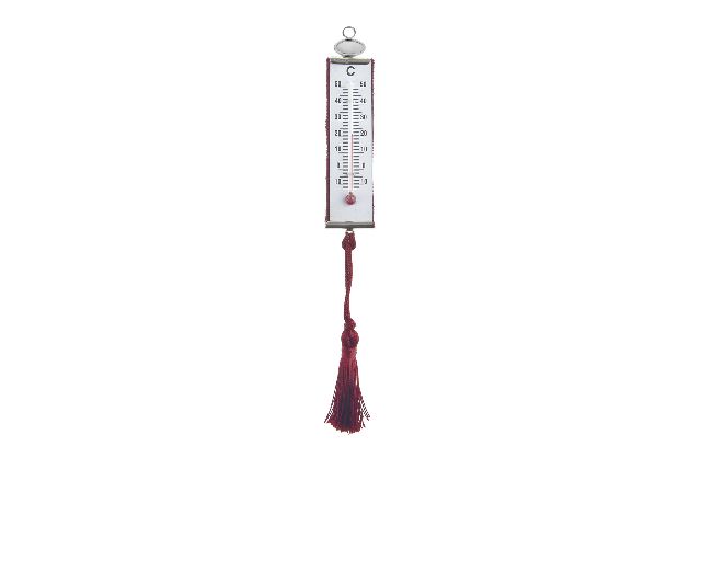 Termometro argento blasone piccolo