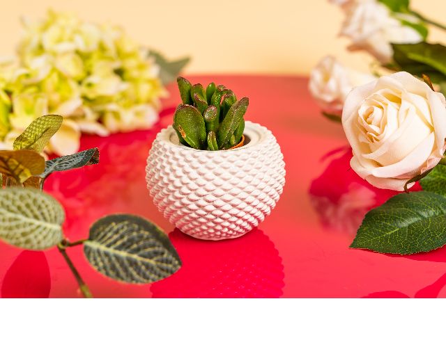 Vase with plant white