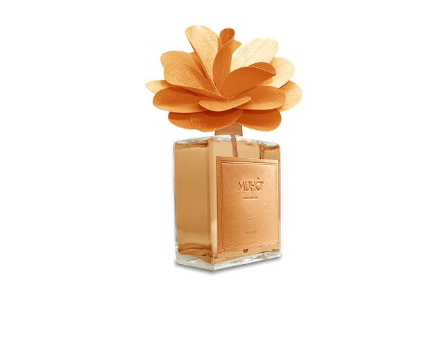 Fragrance diffuser flower cedar and bergamot