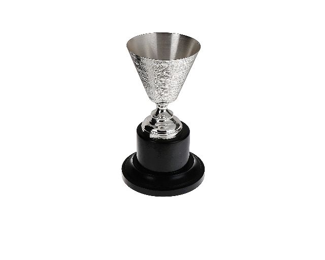 Coppa sportiva argento