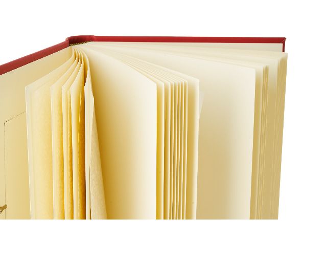 Idea Regalo Laurea Album Con Cornice Laurea Selezione Zanolli 186563 300ealp2405la