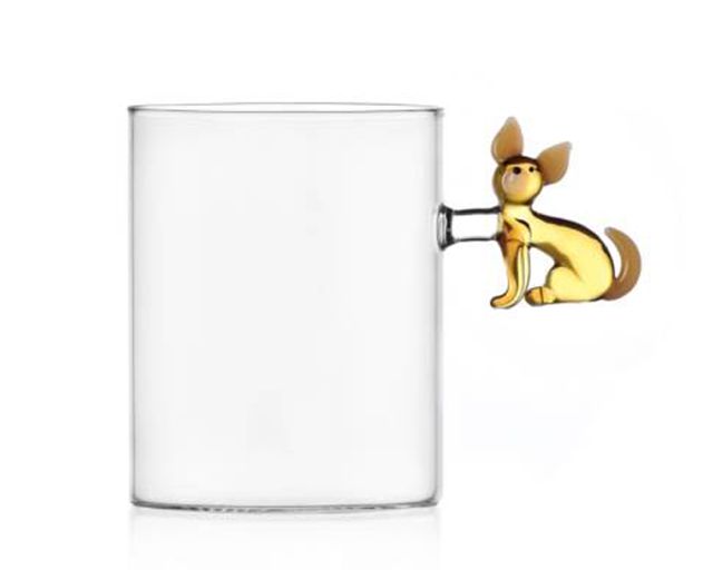 Mug dogs chihuahua