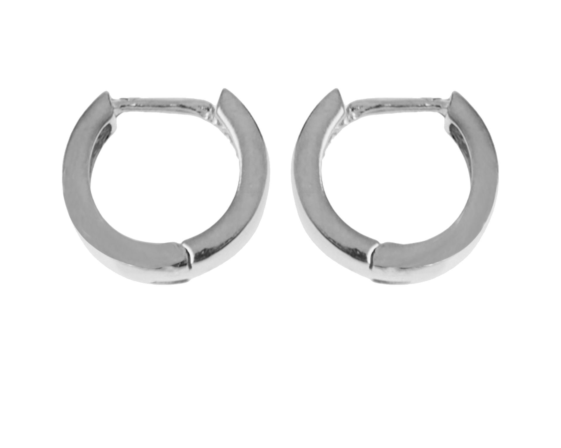 Orecchini Argento Selezione Zanolli 187930 611or00431