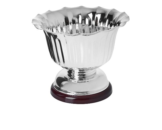 Cup with wooden base