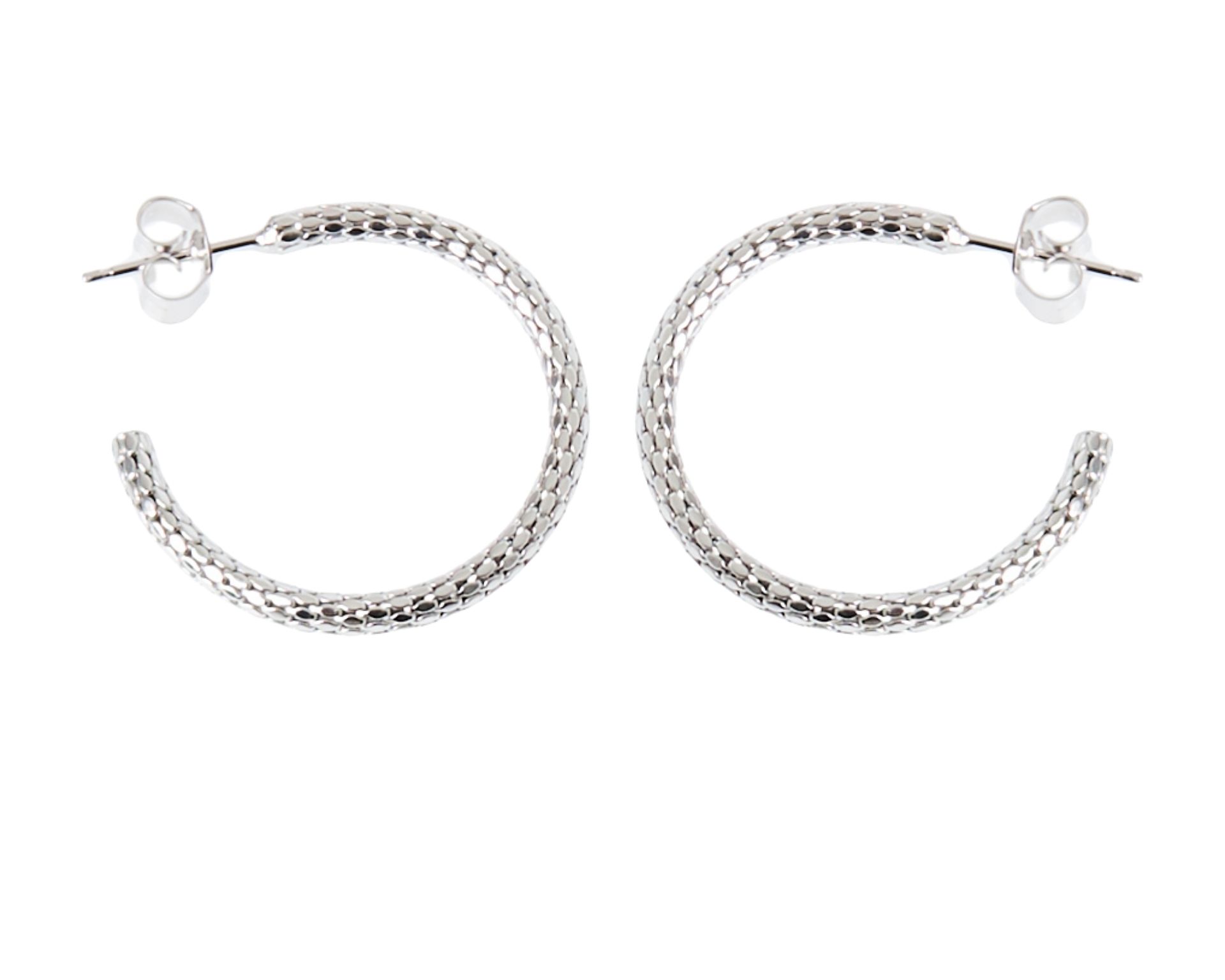 Orecchini Argento Selezione Zanolli 187933 611or00433