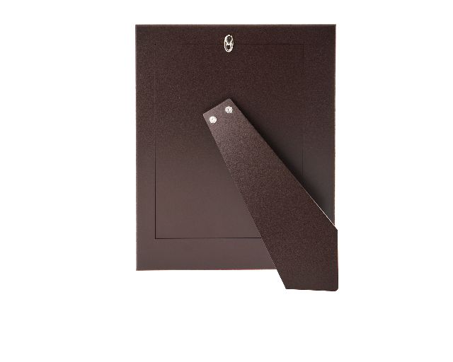 Idea Regalo Laurea Cornice Laurea Argento Bilaminato Selezione Zanolli 187176 300c705la