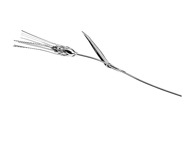 Bomboniera spiga argento