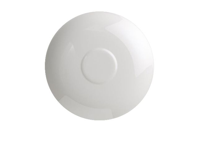 Tea cup saucer royal porcelain