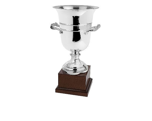 Cup with handles