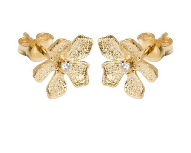 Earrings silver