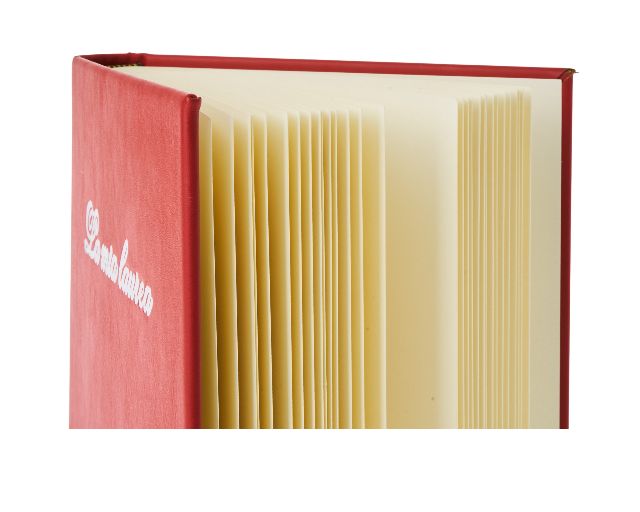 Idea Regalo Laurea Album La Mia Laurea Selezione Zanolli 187174 300eal2405la
