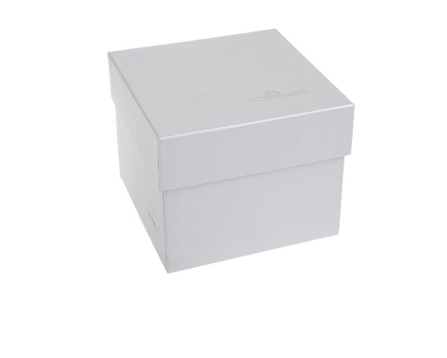 Scatola Stella Marina Selezione Zanolli 157467 941ma4301b