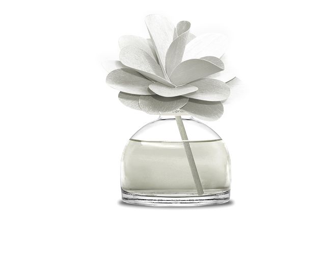 Fragrance diffuser flower iris chypre