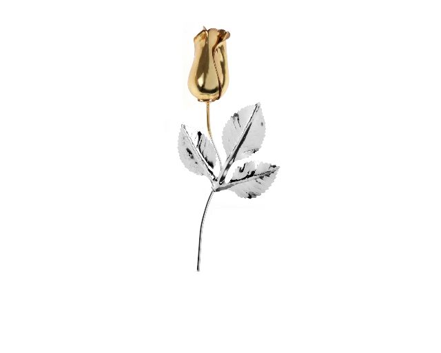Bomboniera Rosetta Bocciolo Oro Silver Plated Con Essenza E Scatola Selezione Zanolli 150826 589r46621pcs