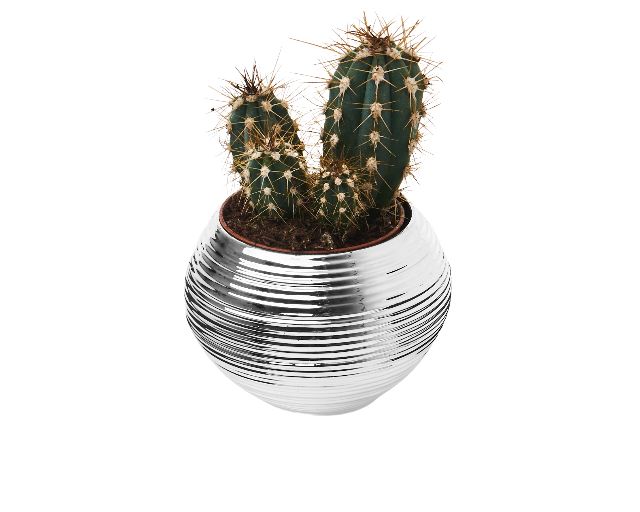 Vase with plant city