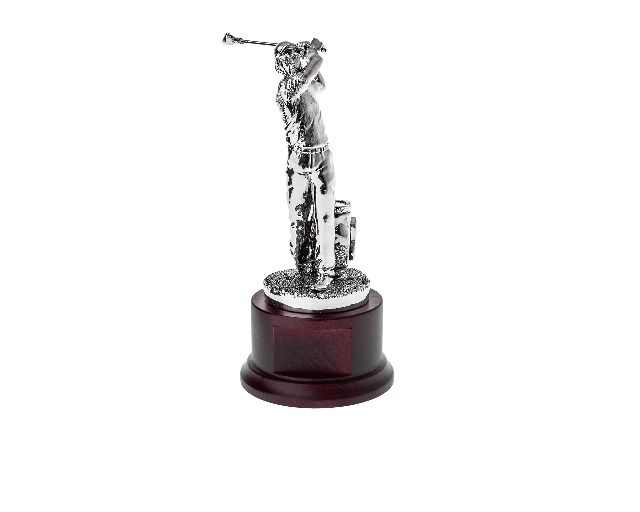 Trophy the golfer with wooden base
