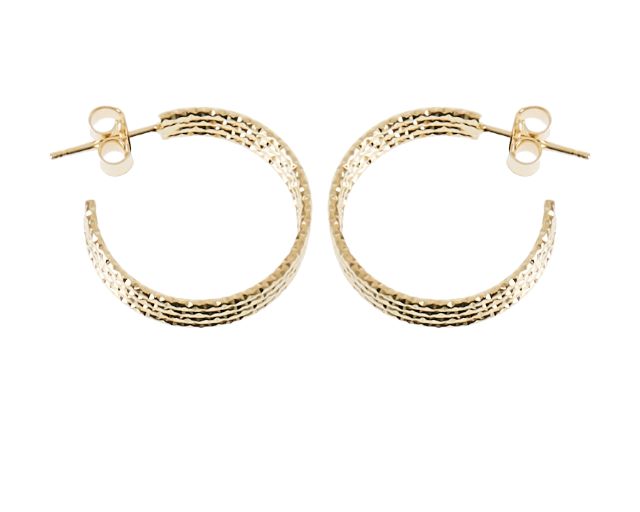 Earrings silver