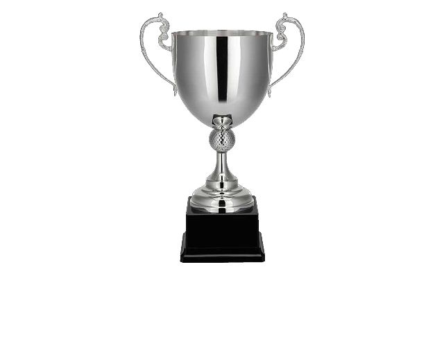 Coppa golf silver plated con manici