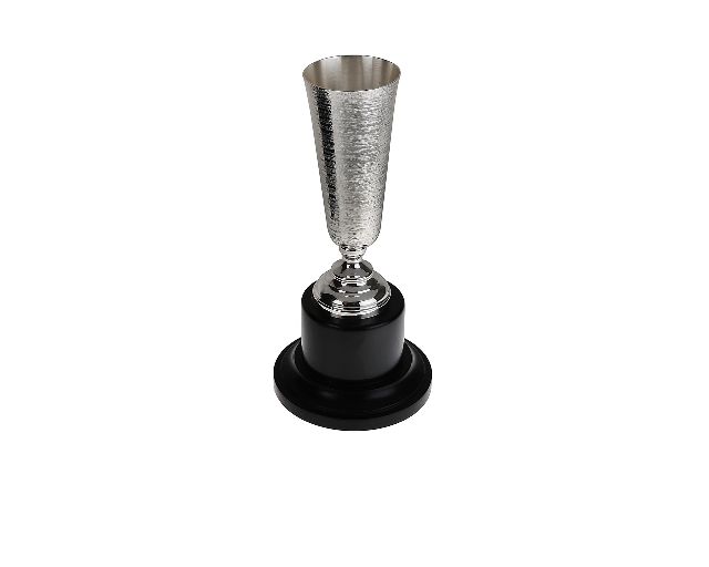 Coppa sportiva argento