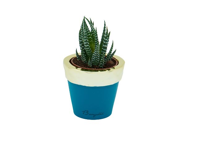 Vase with plant teal and gold