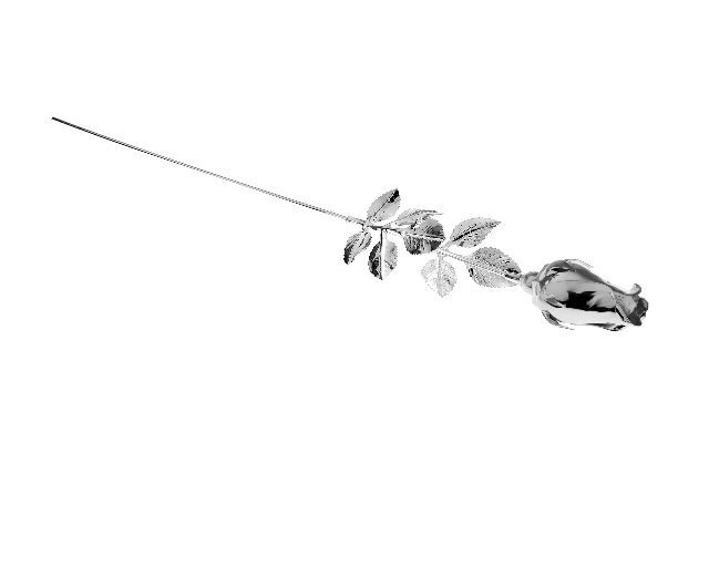 Rose silver