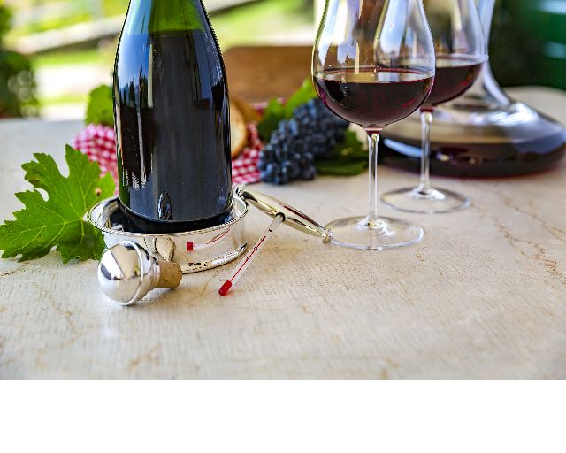 Termometro Da Vino Silver Plated Selezione Zanolli