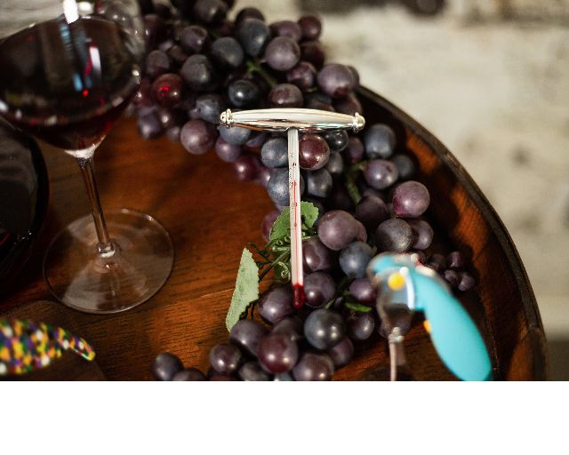 Termometro Da Vino Silver Plated Selezione Zanolli