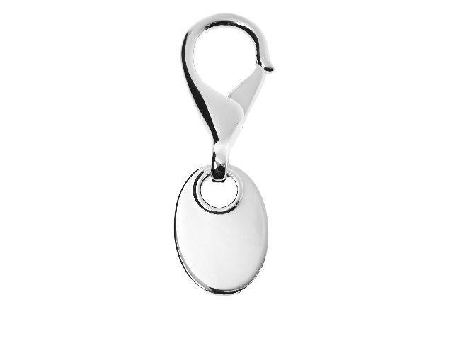 Keyring silver with oval plate