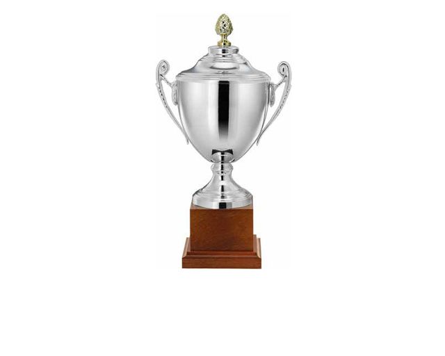 Coppa silver plated con manici e coperchio