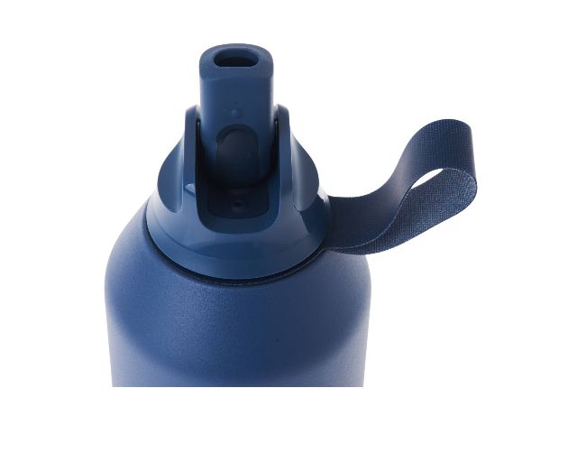 Thermal Bottle Steel Whale Blue Chillys Bottles 185818 944b500s2spwblu