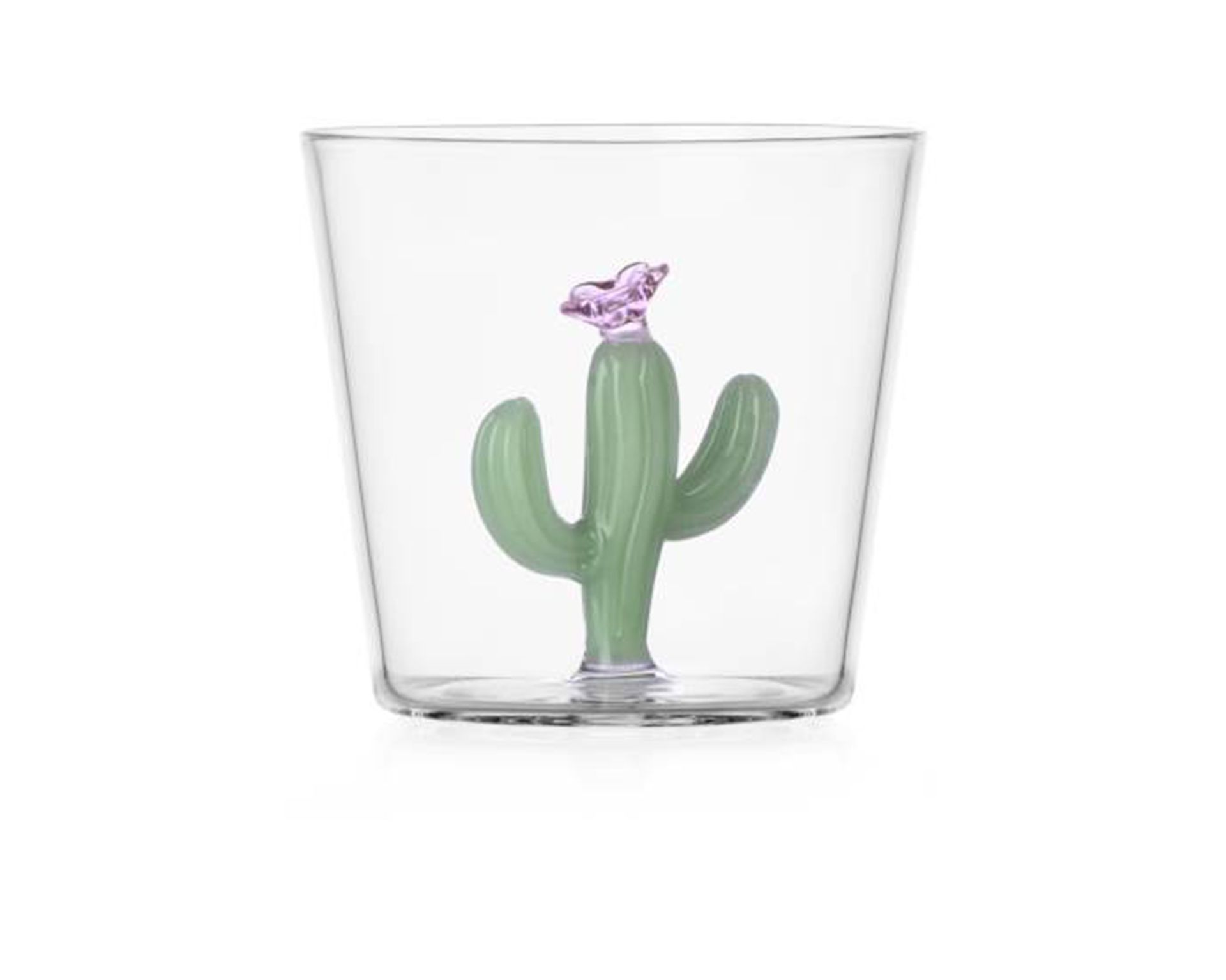 Tumbler Glass Desert Plants Cactus Green Ichendorf