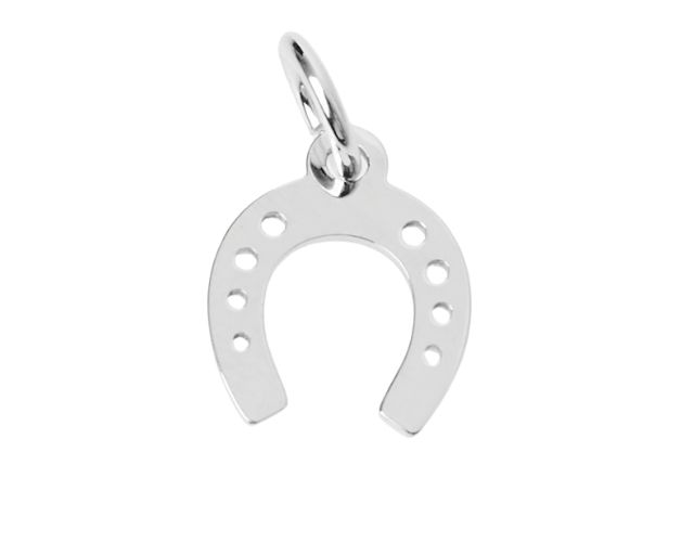 Pendant horseshoe silver