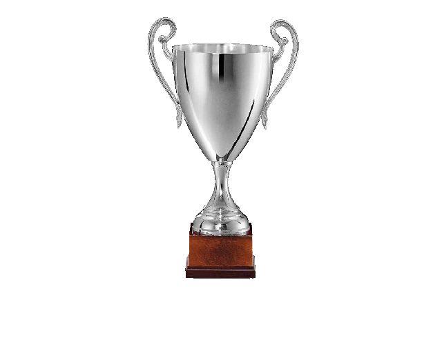 Cup silver plated with handles