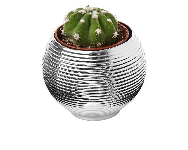 Vase with plant city