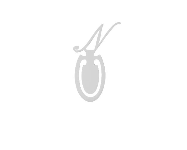 Segnalibro argento lettera n