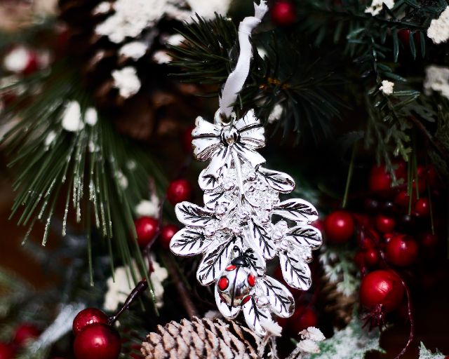 Idea regalo natale vischio argento e coccinella rossa