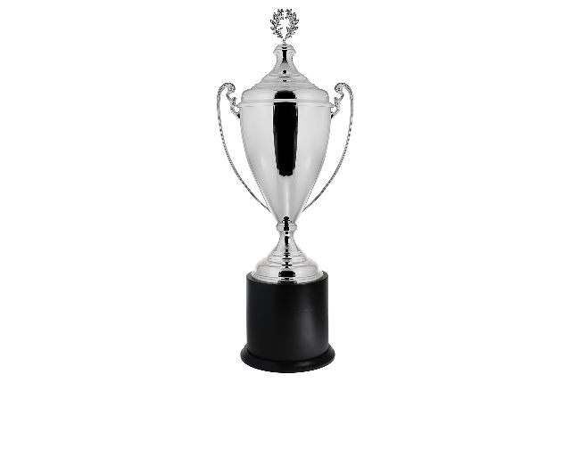 Cup with handles and cover