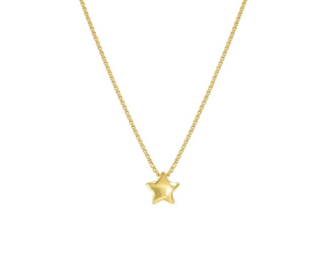 Collana armonica argento dorato stella