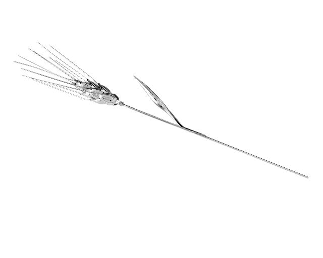 Bomboniera spiga argento